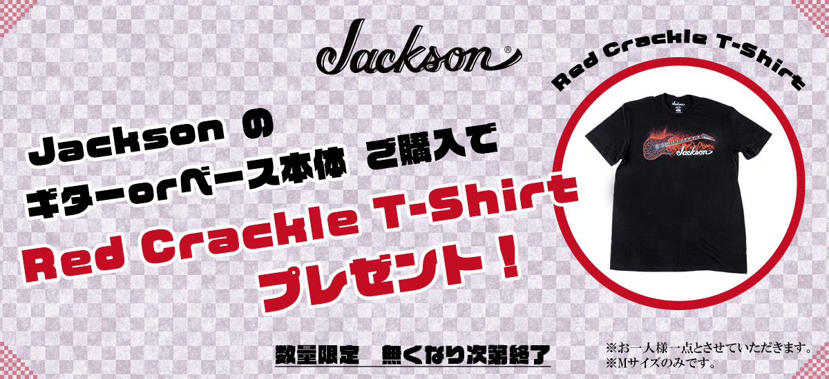 jackson_t-shirt_present.jpg