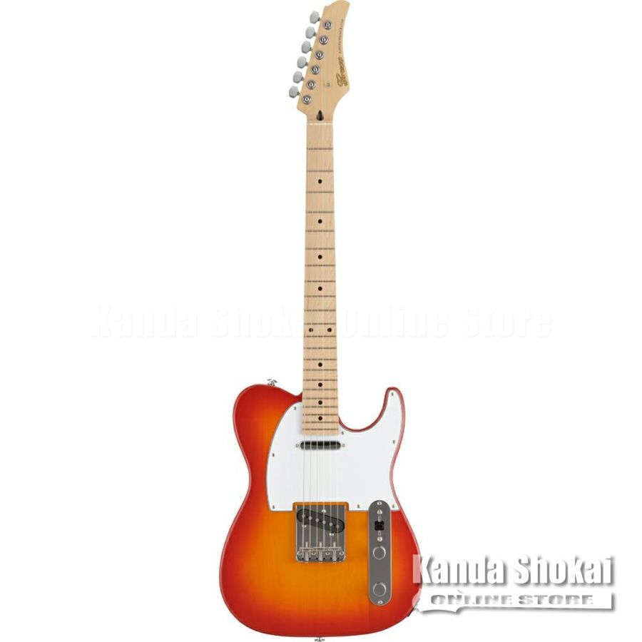 Greco ( グレコ )WST-STD, Cherry Burst / Maple Fingerboard | ギター