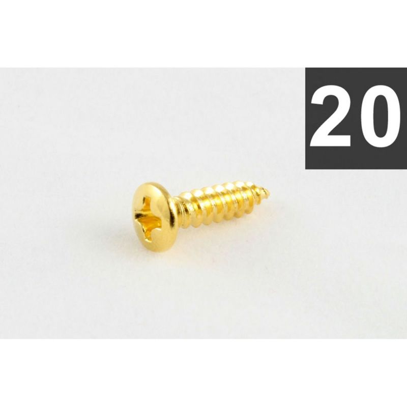 Allparts GS-0050-002 Pack of 20 Gold Gibson Size Pickguard Screws [7509]の商品画像1