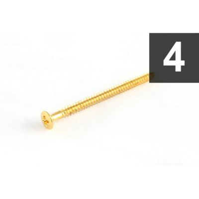 Allparts ( オールパーツ )<br> GS-3312-002 Pack of 4 Gold Soap Bar Pickup Mounting Screws [7554]
