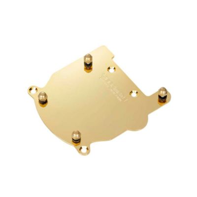 VIBRAMATE ( ヴィブラメイト )<br> V5-JAM Mounting Kit, Gold