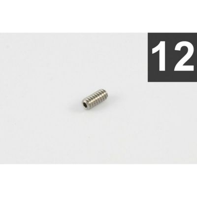 Allparts ( オールパーツ )<br> GS-0379-005 Pack of 12 Bridge Height Screws [7537]