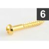 Allparts GS-0013-002 Pack of 6 Gold Tremolo Mounting Screws [7520]の商品画像1