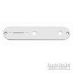 Allparts AP-0650-001 Nickel Control Plate [6517]の商品画像1