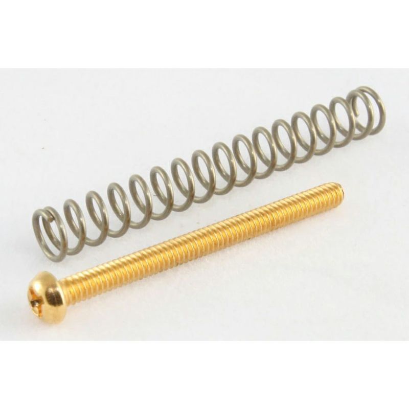 Allparts GS-0012-002 Pack of 4 Gold Humbucking Screws [7547]の商品画像1