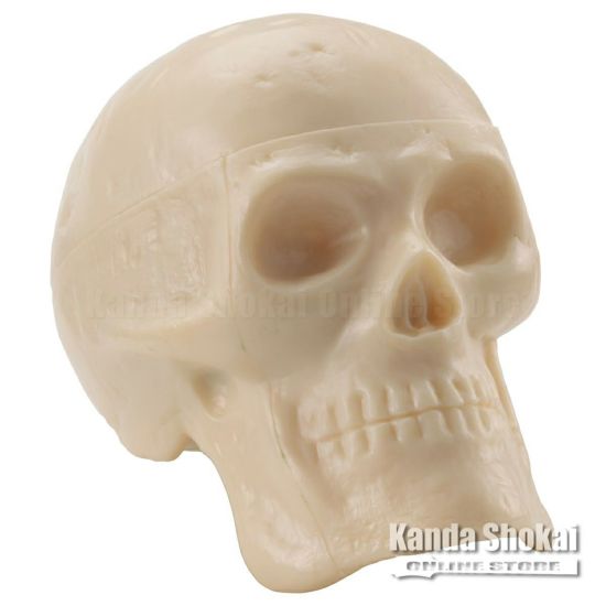 GROVER/Trophy Beadbrain Skull Shaker BB-BONEの商品画像1