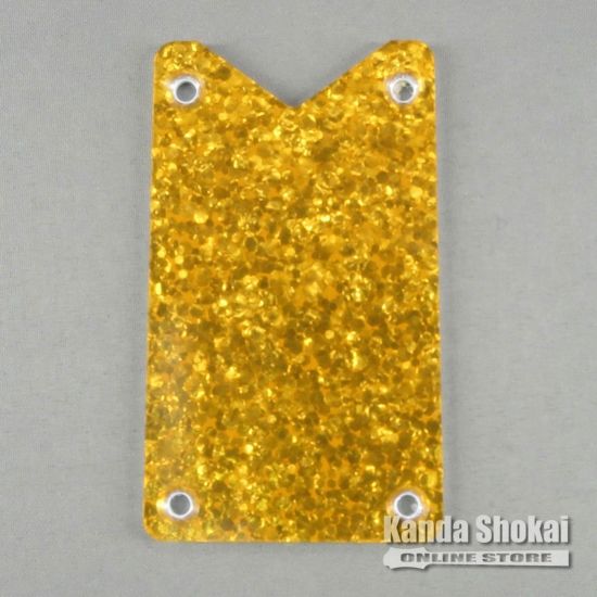 Gretsch GT391 Truss Rod Cover, Gold Sparkleの商品画像1