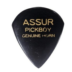 Pickboy GP-AS/1 Exotic Pick / Assur Horn 2.00mmの商品画像1