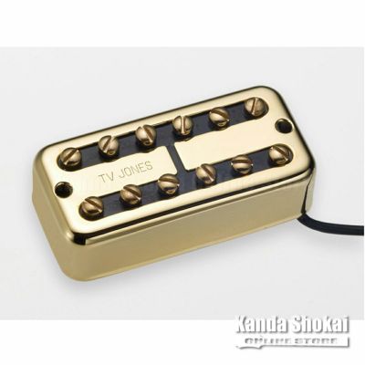 ピックアップ / フィルタートロンタイプ 通販 | 御茶ノ水楽器