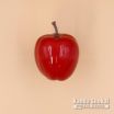 PLAYWOOD Fruits Shaker FS-RAP 赤りんごの商品画像1