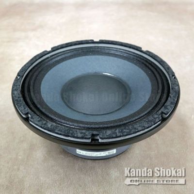 [Outlet] Gallien-Krueger ( ギャリエンクルーガー )<br> Paragon 10