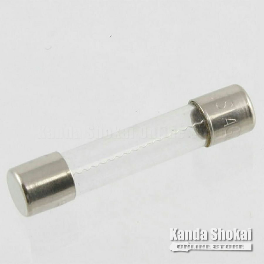 Allparts EP-0808-000 5 Ampere Slow Blow Fuse [4033]の商品画像1