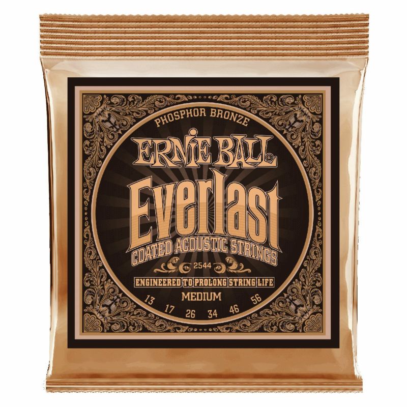 Ernie Ball Everlast Medium Coated Phosphor Bronze 13-56 [#2544]の商品画像1