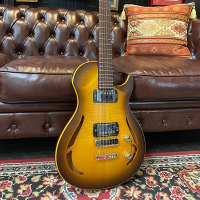 【最終処分特価】Framus - チター（現状品） Framus Diablo Pro / Natural Transparent Satin（新品特価/送料