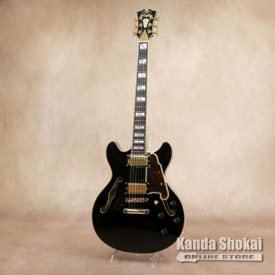 D'Angelico ディアンジェリコ Excel 59 Viola D'Angelico ( ディアンジェリコ ) Excel 59, Viola [S/N: W2101374