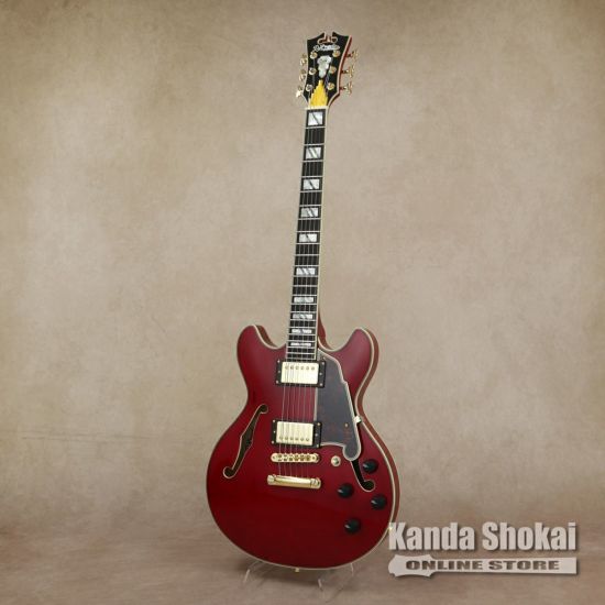 D'Angelico ( ディアンジェリコ ) Excel Mini DC, Trans Cherry [S/N