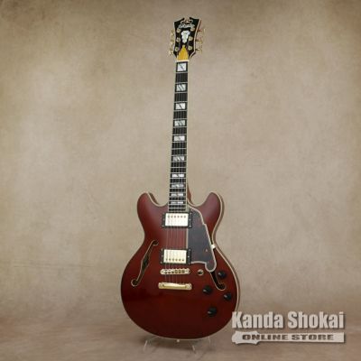 D'Angelico ( ディアンジェリコ ) Excel Mini DC, Trans Cherry