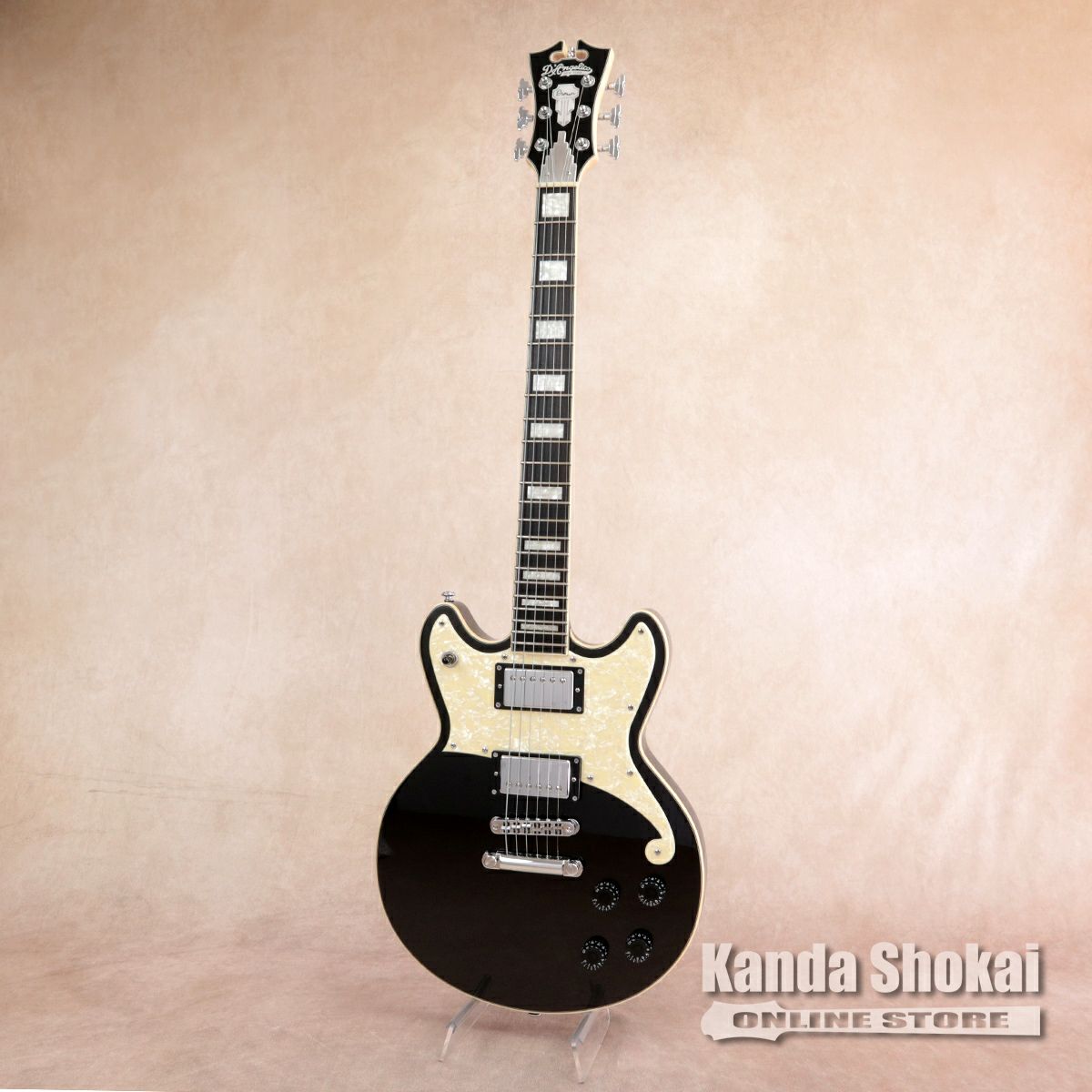 D'Angelico ( ディアンジェリコ ) Premier Brighton, Black Flake
