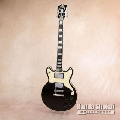 D'Angelico ( ディアンジェリコ )<br> Premier Brighton, Black Flake