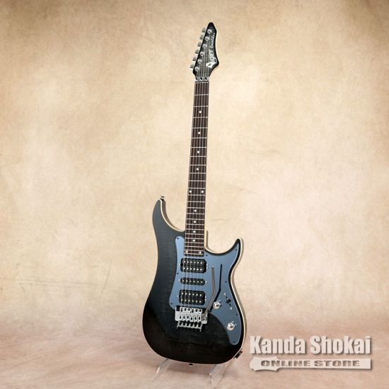 Vigier ( ヴィジェ ) Excalibur Custom HSH VE6-CVC1, Mysterious 