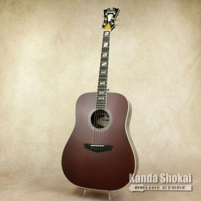 [Outlet] D'Angelico ( ディアンジェリコ )<br> Excel Lexington, Auburn