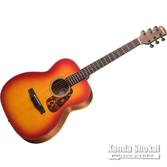 Morris Guitars ( モーリスギター ) F-021, Cherry Sunburst | ギターの