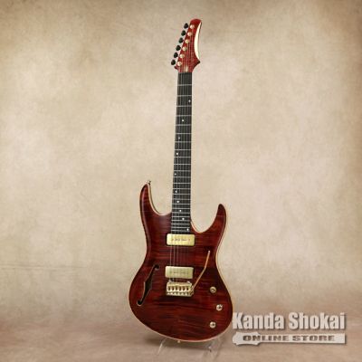 Vigier ( ヴィジェ ) Excalibur Special, VE6-CVSP1, Rosewood