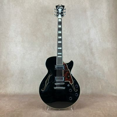 D'Angelico ( ディアンジェリコ )<br> Premier SS, Black Flake