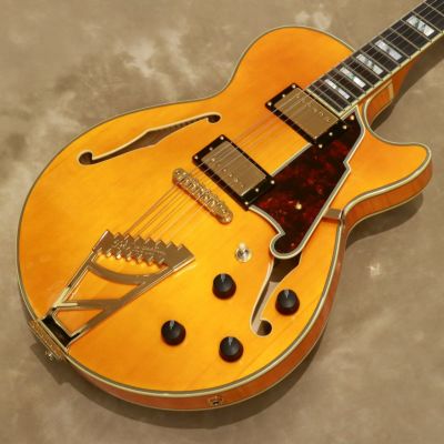 Outlet]D'Angelico ( ディアンジェリコ ) Excel SS XT,Vintage