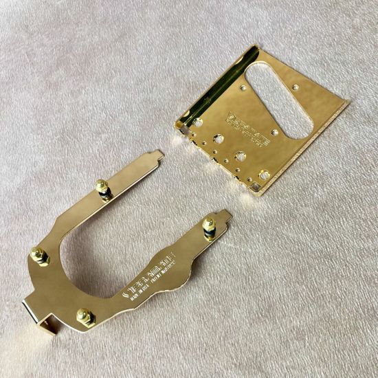 VIBRAMATE ( ヴィブラメイト ) V5-TEV-SC Stage II Mounting Kit, Gold | ギターの通販なら  御茶ノ水楽器センター