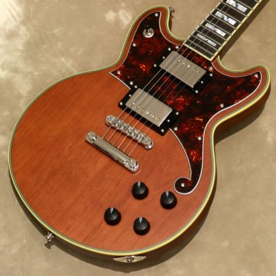 D'Angelico ( ディアンジェリコ )<br> Deluxe Brighton, Matte Walnut[S/N:W2201102]