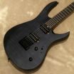 Balaguer ギター Balaguer Guitars（バラゲールギターズ）からNEWモデル11機種が