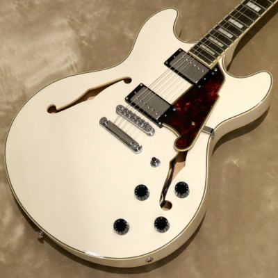 D'Angelico ( ディアンジェリコ )<br> Premier DC, Champagne [S/N: KP223448]