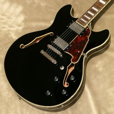 D'Angelico ( ディアンジェリコ )<br> Premier DC, Black[S/N:WN2409034]