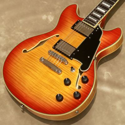 Skysonic ( スカイソニック ) WL-800JP Wireless Soundhole
