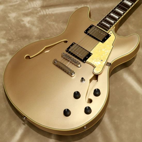 D'Angelico ( ディアンジェリコ ) Premier DC XT, Satin Desert